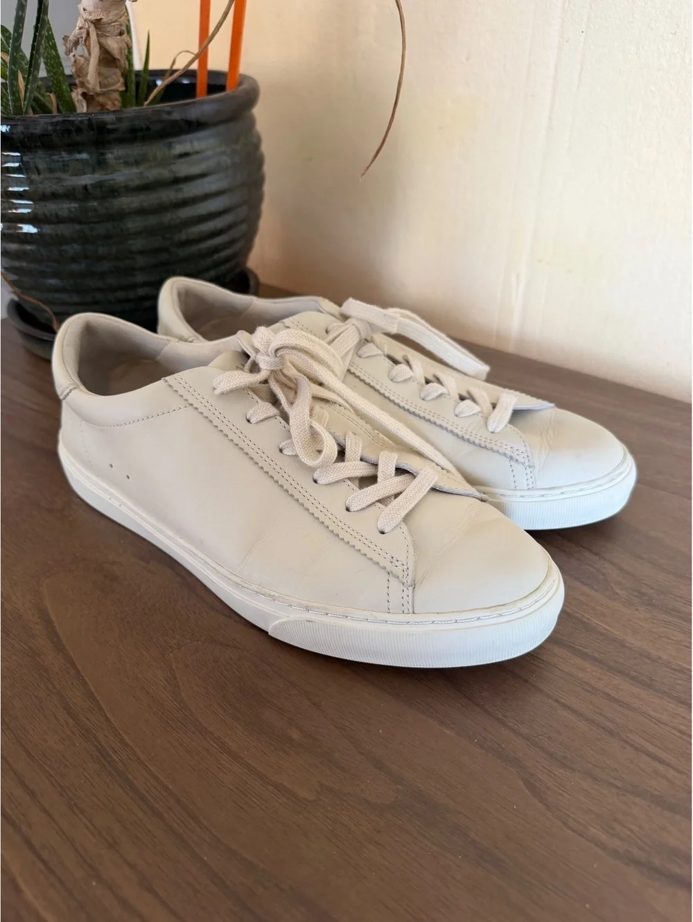 Everlane classic leather